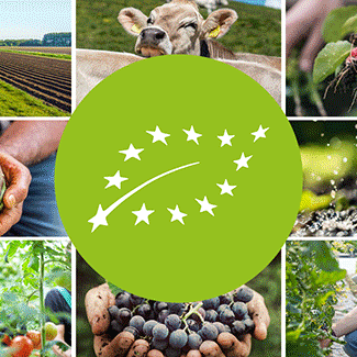 food_for_europe_podcast_organic_555x325px