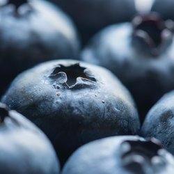 antioxidant_berries_bilberry_988870